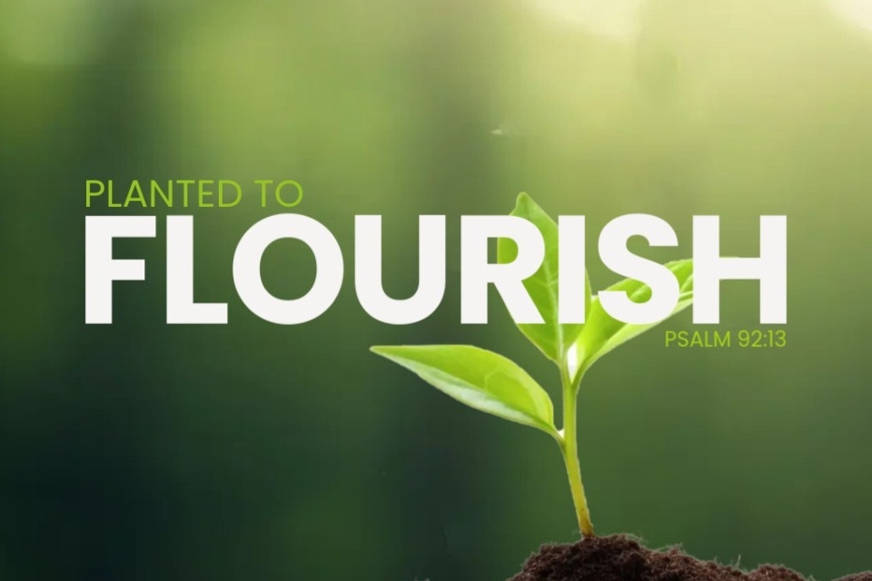 2025 Year of Flourishing v6